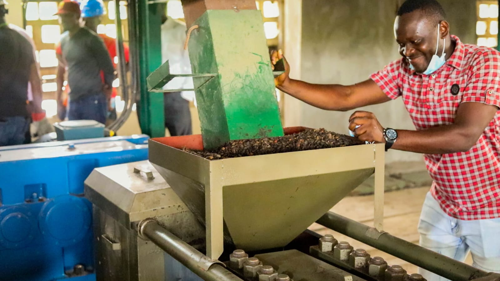 Palm Kernel Processing